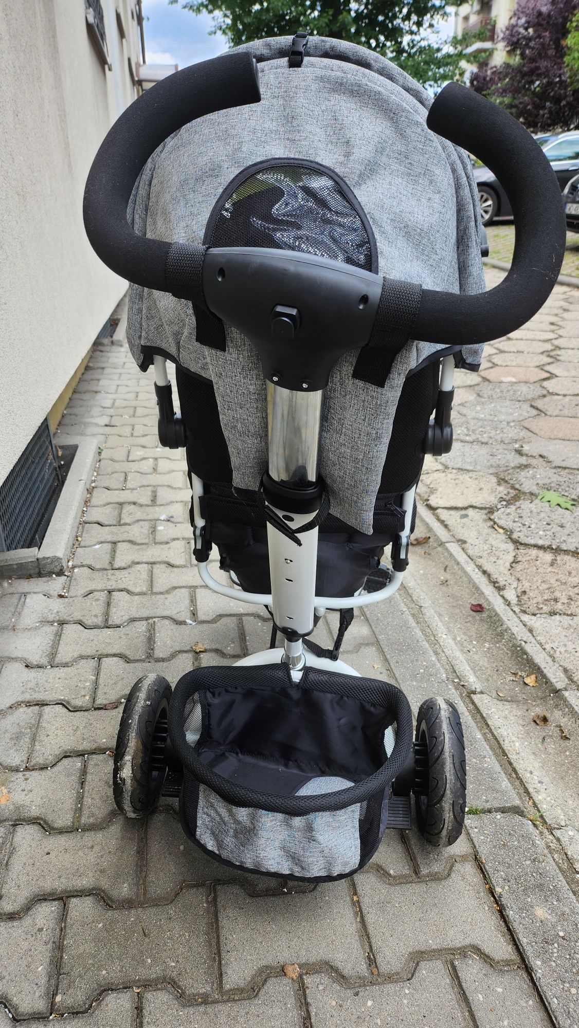 Rowerek 3 kołowy Evo Edge