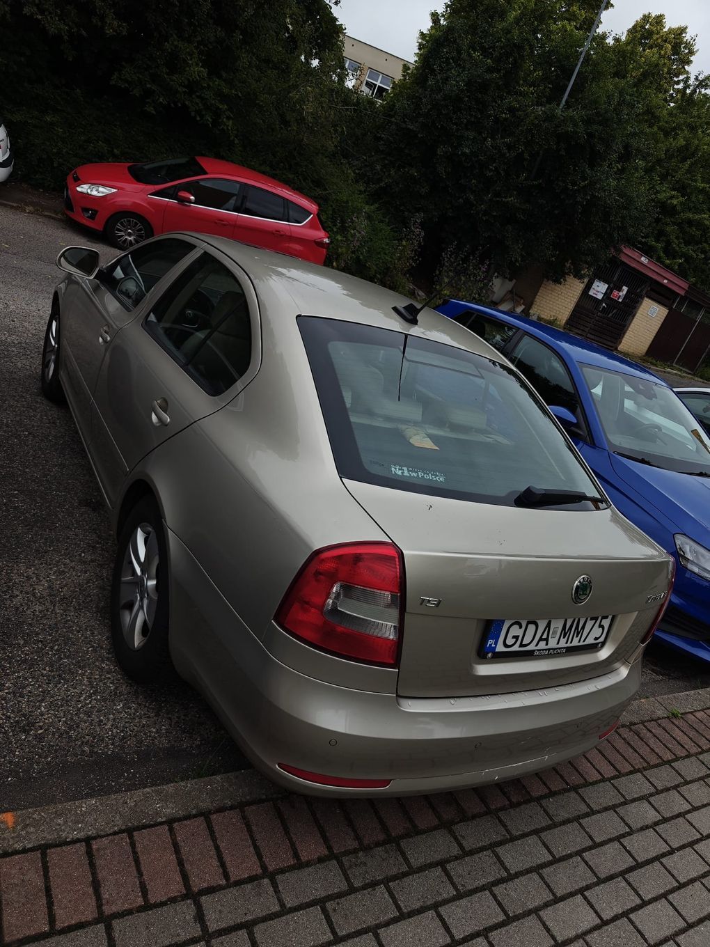 Skoda Octavia Skoda Octavia 1.4 TSI 122KM | Automat | Elegance |