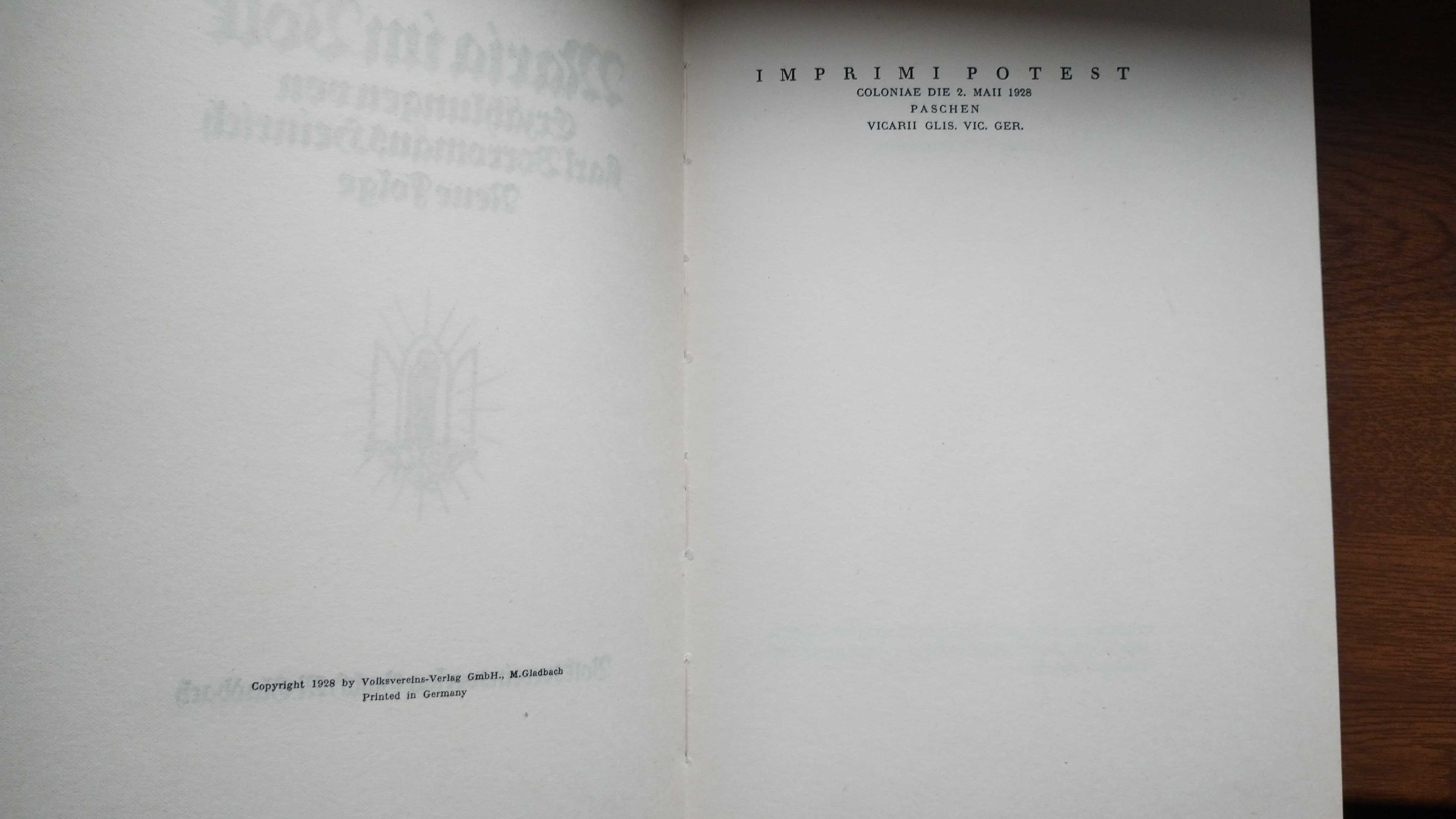Książka międzywojenna po niemiecku z 1928 roku antyk