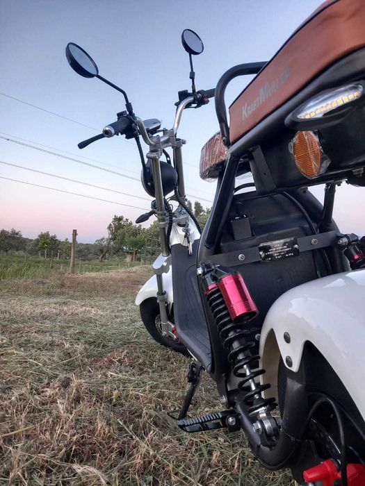 Citycoco - Electrica - Elegante -Ecologica 1500w