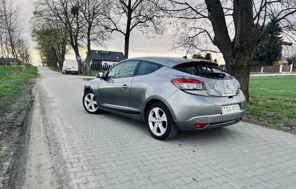 Renault Megane 1.9 dCi Dynamique - Paccpoчка+Растаможка