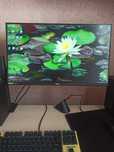 Монітор Dell G2422HS на гарантії