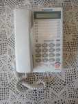 Telefon stacjonarny Panasonic KX-TS2308PD