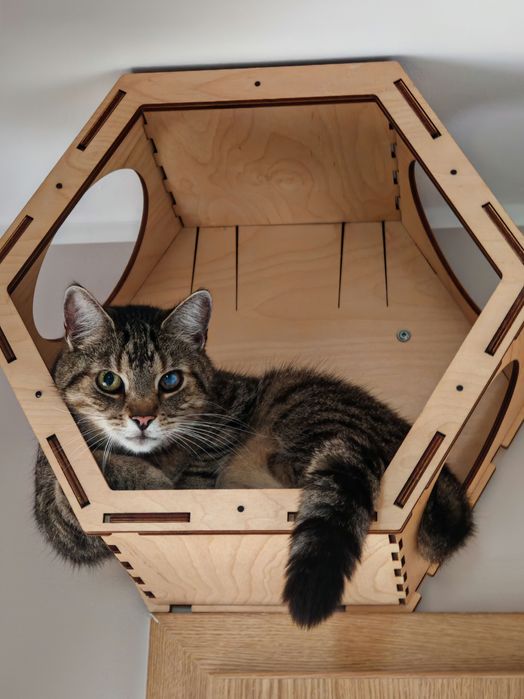 RshPets budka Półka ścienna wisząca dla kota sklejka naturalne drewno