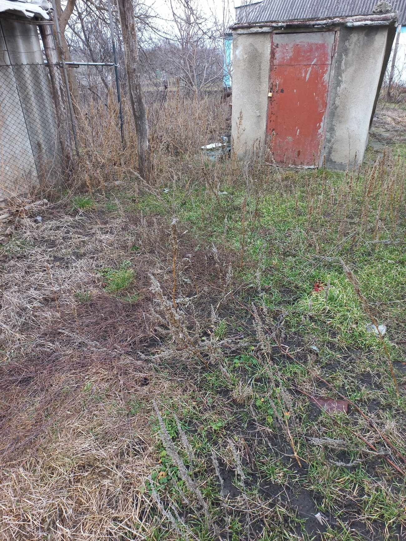 Будинок в селі Грушівка