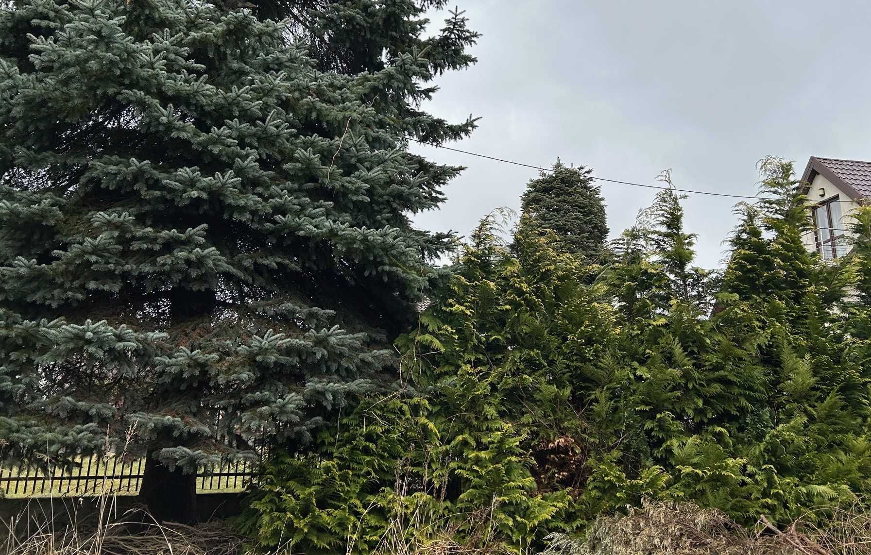 os. Bielany - dom dwu mieszkaniowy do remontu w spokojnym miejscu