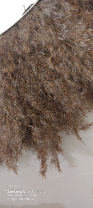 Rekodzieło. Lustro okragłe 55cm wewnątrz plus pampas natura