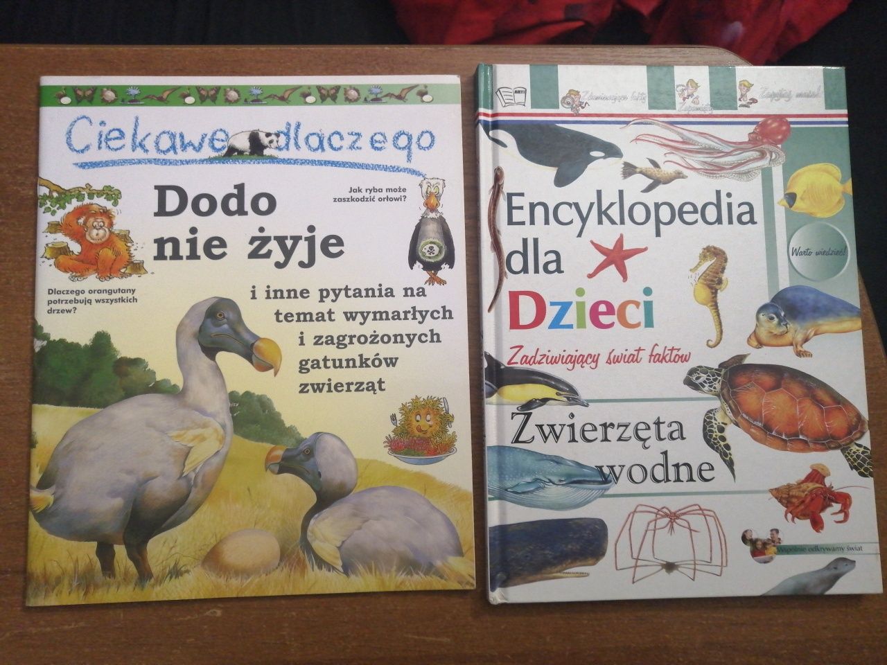 Książki dla dzieci. Zwierzęta wodne i ciekawe dlaczego