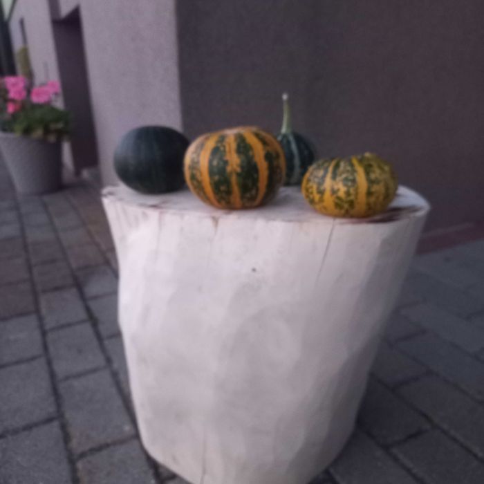 Pień ozdobny/kwietnik