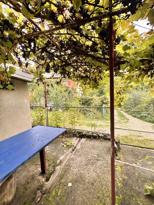 Продаж дачного будинку с.Івачів Горішній