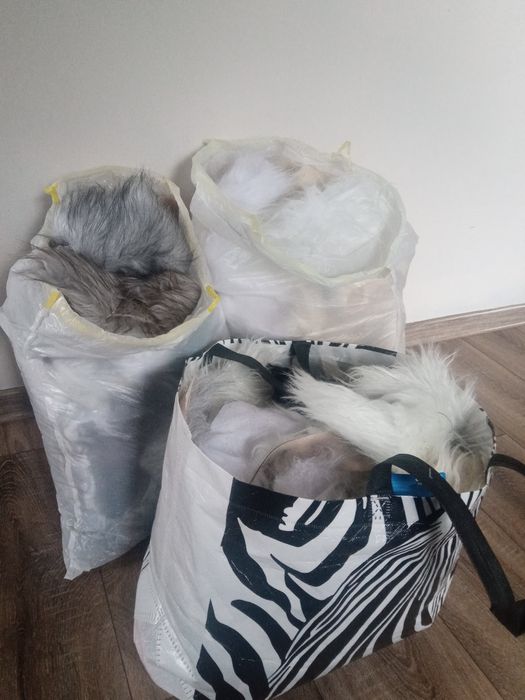 Na pompony lub brody