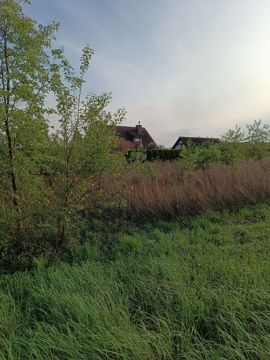 Mulczer leśny wgłebny wycinka drzew karczowanie czyszczenie działek mu