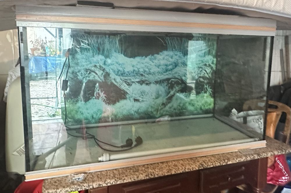 Aquário grande 360L