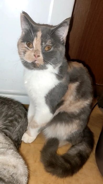 Яркая сочная карамелька. Девочка.