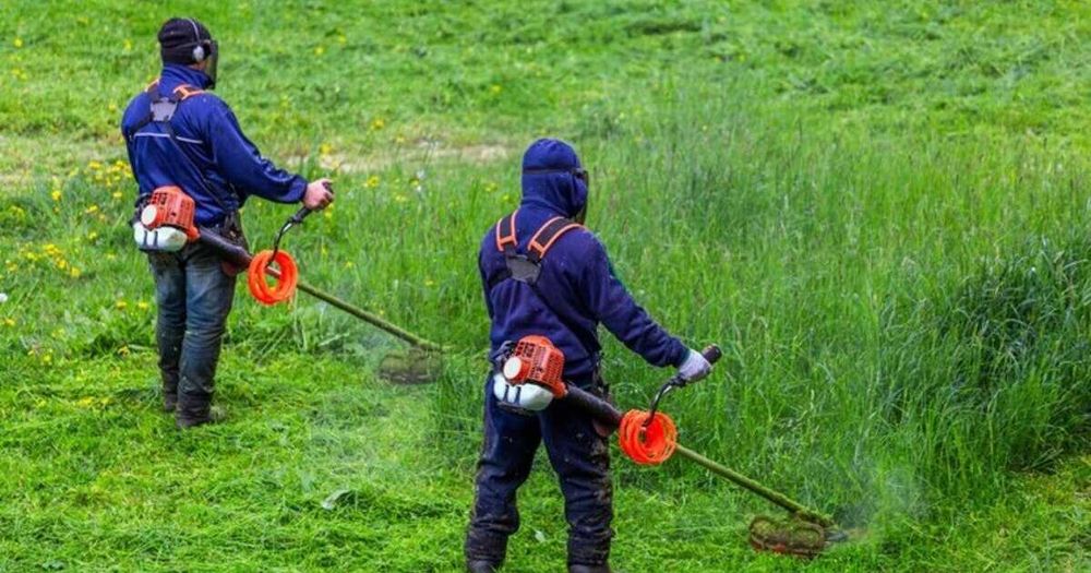 Brutos do monte limpeza de terrenos