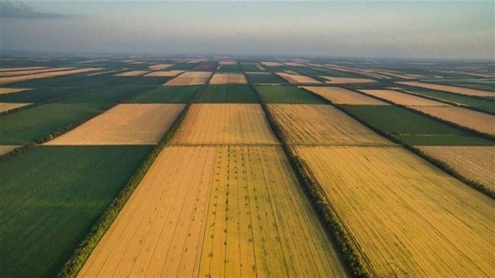 Продам пай. Земельну ділянку