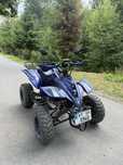 Квадроцикл ATV 250