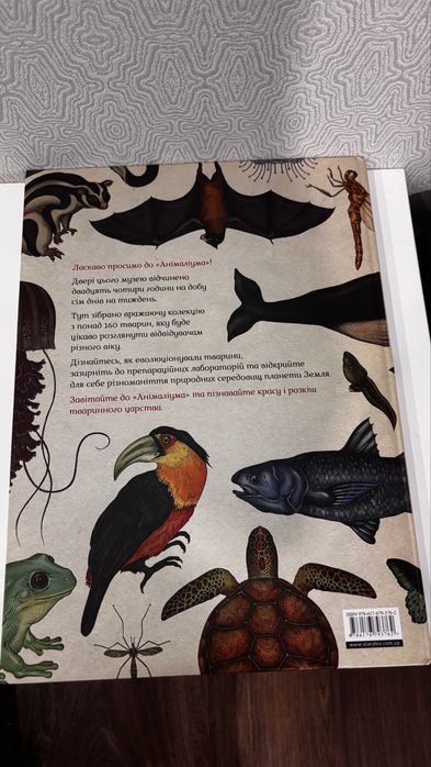 Книга Анімаліум. Кейті Скотт і Дженні Брум