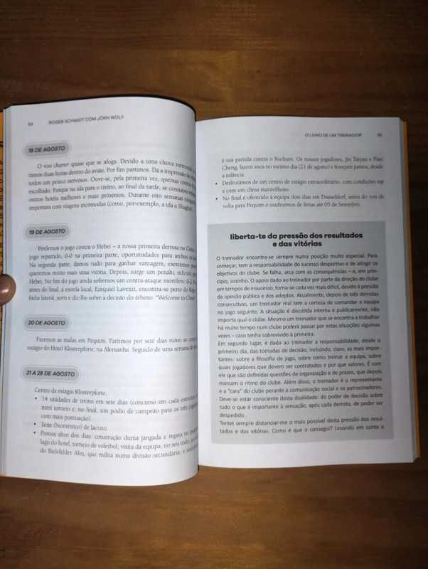 Livro Roger Schmidt