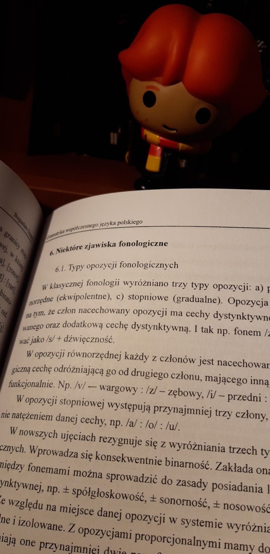 B. Dunaj - Gramatyka współczesnego języka polskiego fonetyka fonologia