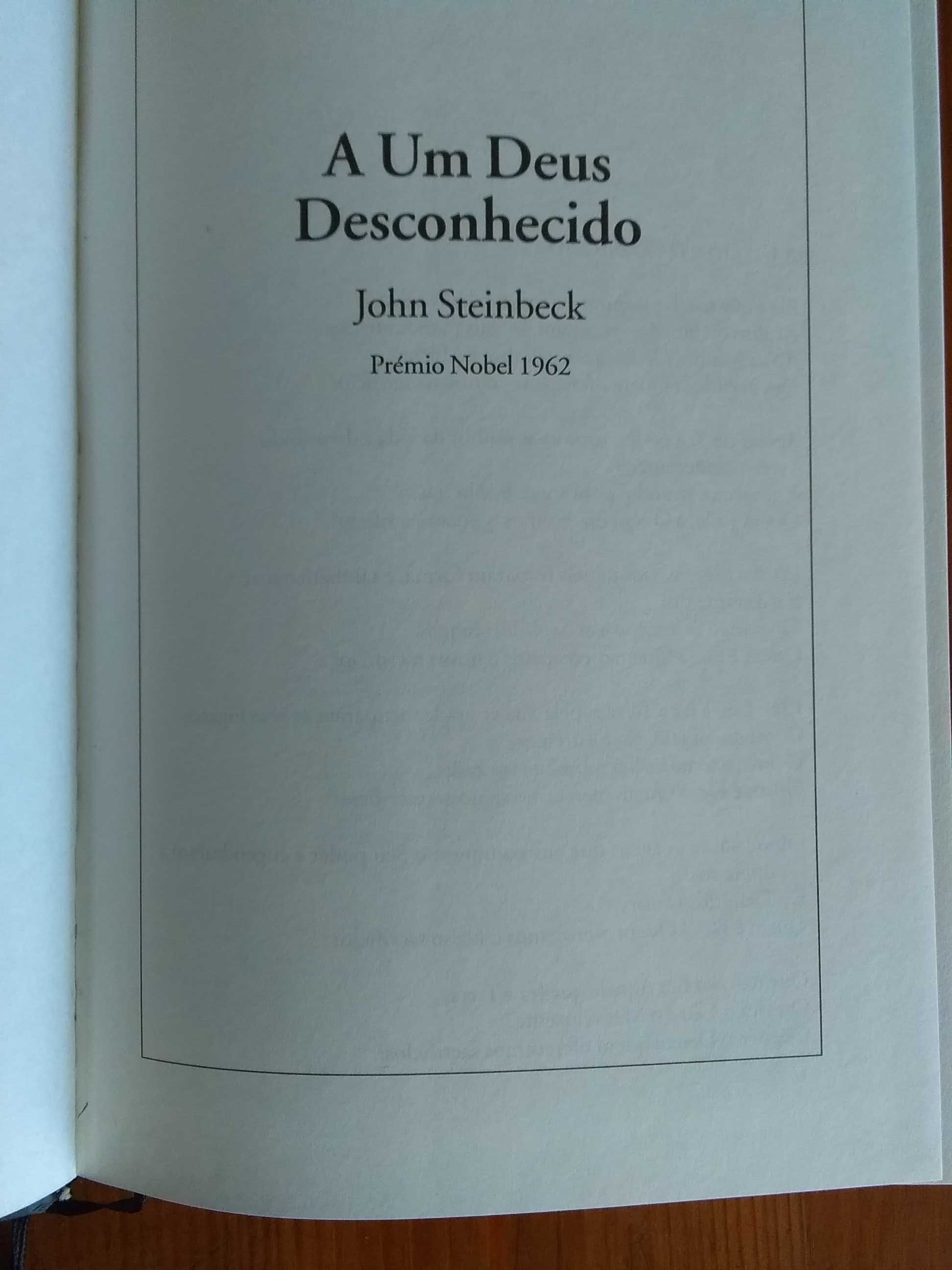 A um deus desconhecido de John Steinbeck