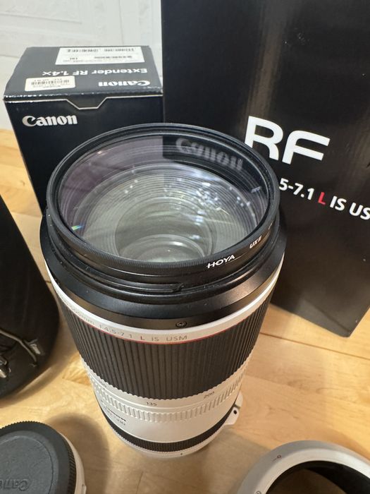 Canon rf 100-500mm + 1.4x extensor