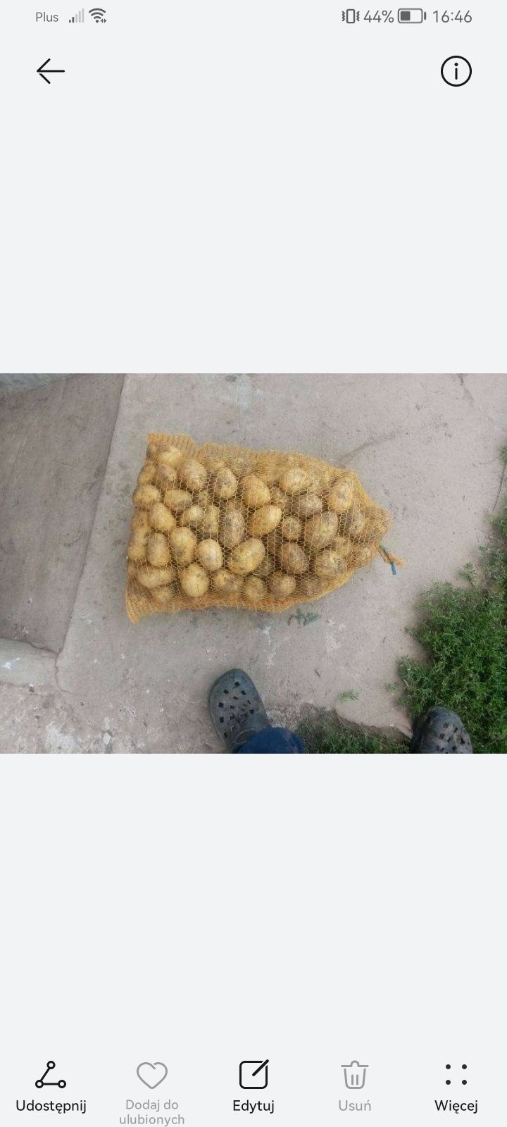 Ziemniaki młode Soraya