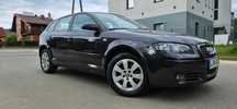 Audi A3 Lift 2007 Rok 1.8 T Benz.160 Ps Przeb.197 Tys.km 100% Bezwypadek Igła