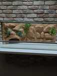 Terrarium 100x40x40 wąż agama gekon żółw