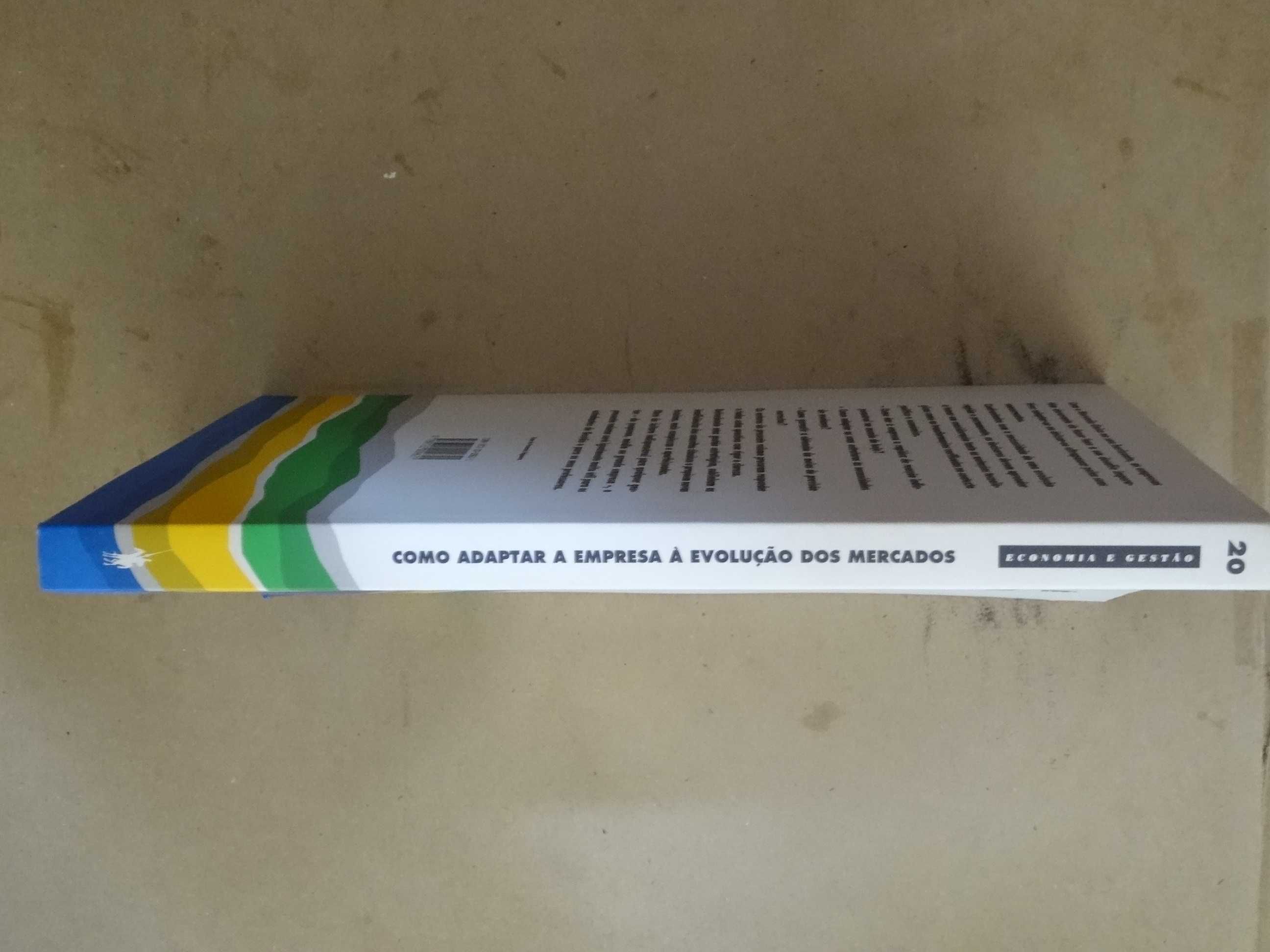 Como adaptar a Empresa à Evolução dos Mercados de Emmanuel Harlé - 1ª