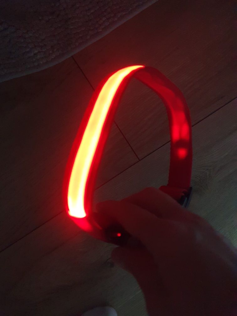 MASBRILL świecąca obroża dla psa LED czerwona
