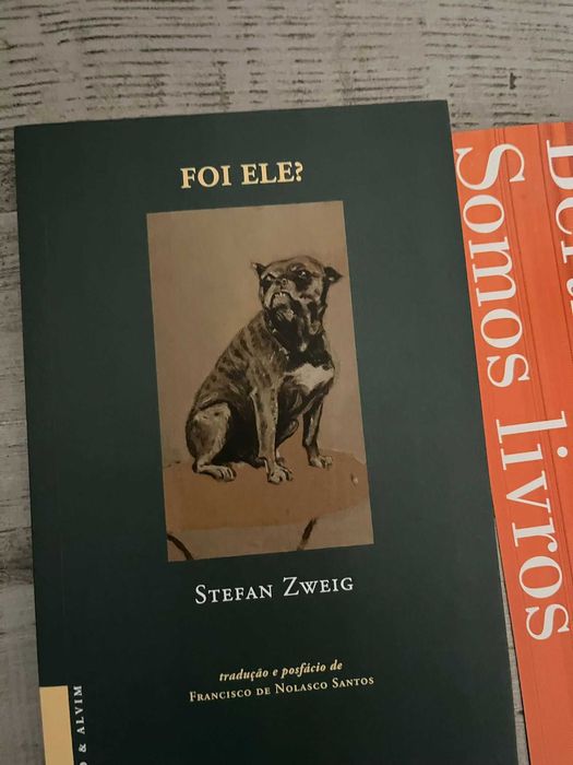 Livros diversos em português e inglês