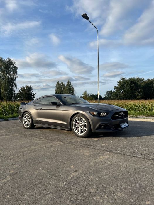 Ford Mustang 50 Years Edition • Premium • GT • V8 • Corsa Xtreme • JLT •