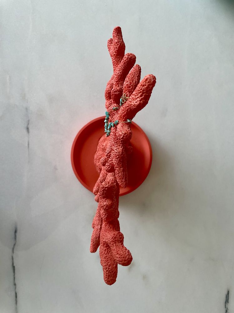 Coral suporte organizador de colares | Zara Home