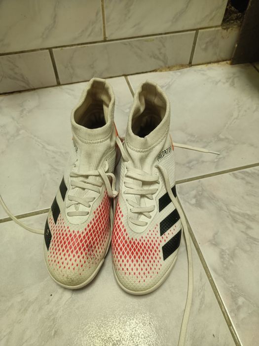 Buty Adidas Predator