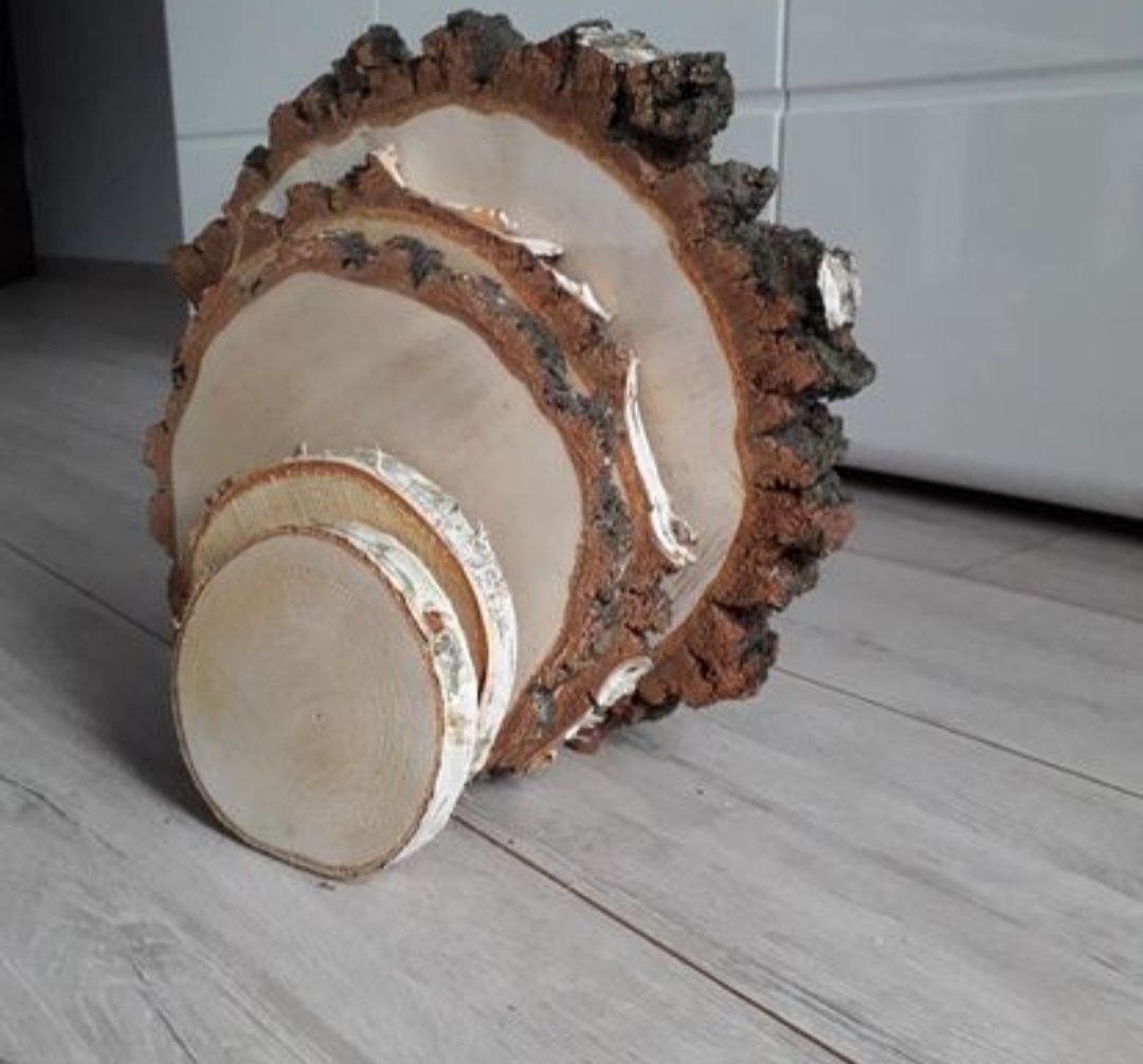 Plastry drewna brzozowego 18 cm i 10 cm.