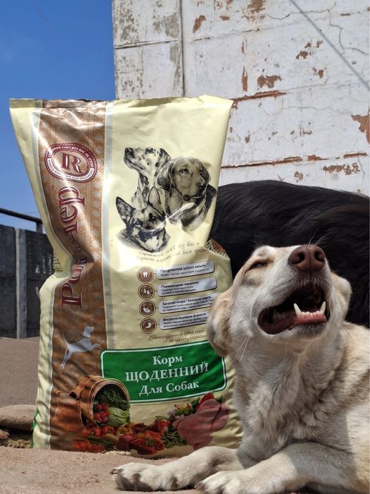 Куколка шукає родину