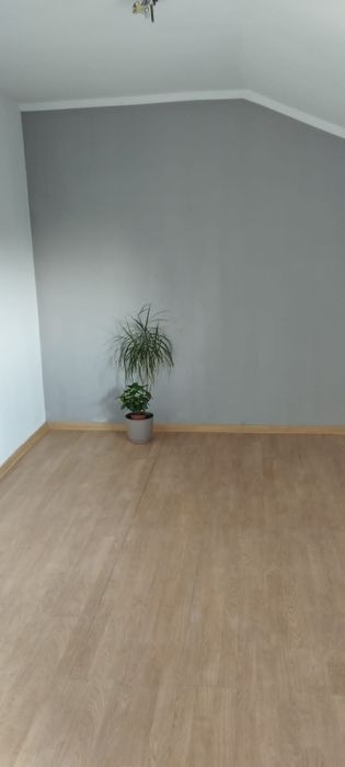 Mieszkanie do wynajęcia
