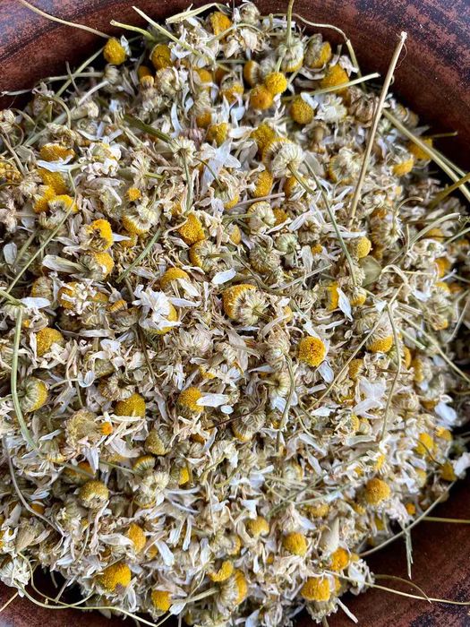 цвіт ромашки, ромашка, цветки ромашки, квіти ромашки,ромашка сушеная