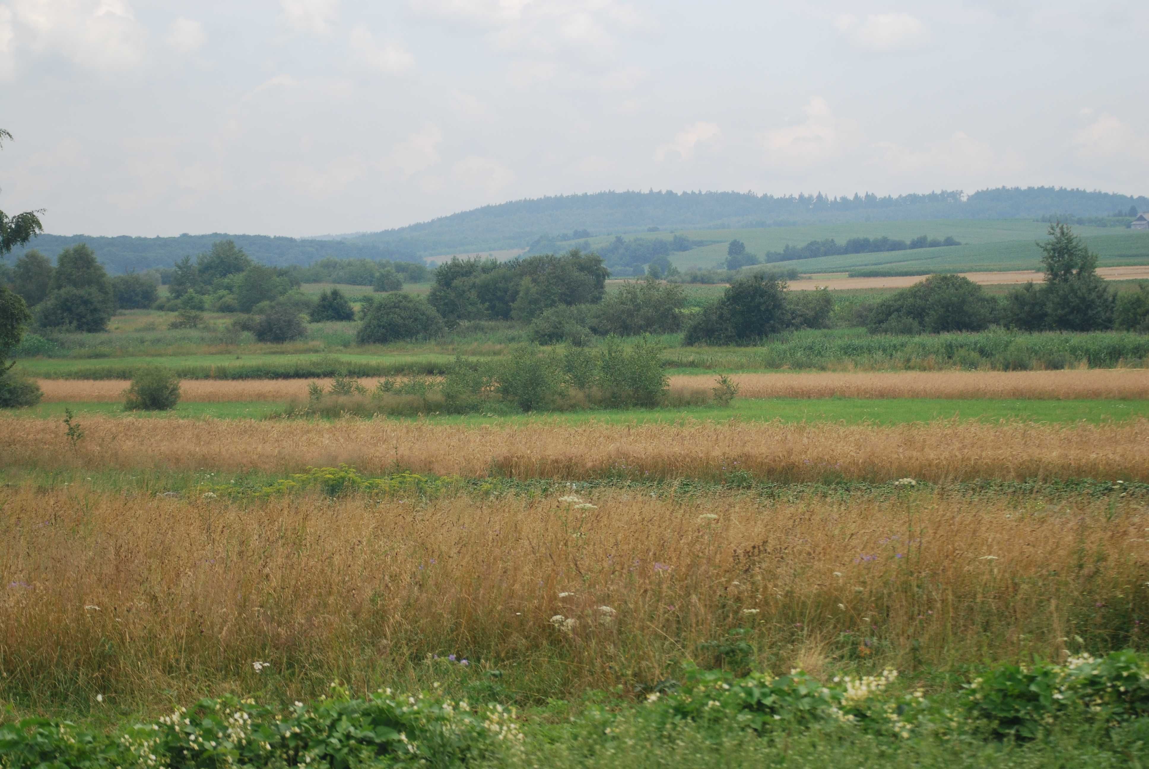 Ładna, słoneczna działka na sprzedaż