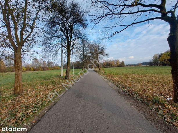 Działka Budowlana Z Dojazdem Drogą Asfaltową.