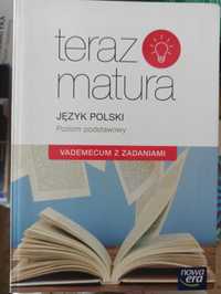 Vademecum maturzysty j.polski