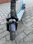 Hulajnoga Motus10 gen6