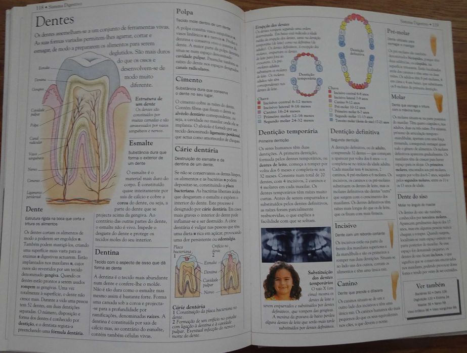 Dicionário Escolar do Corpo Humano