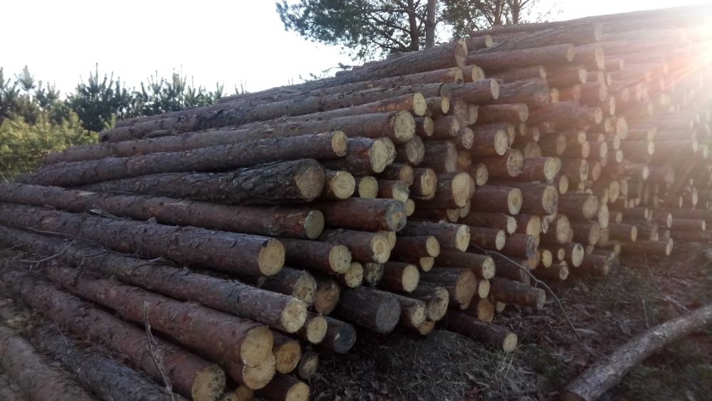 Wiezba Dachowa, Tarcica, Deski, Kantówki, Impregnacja, Transport