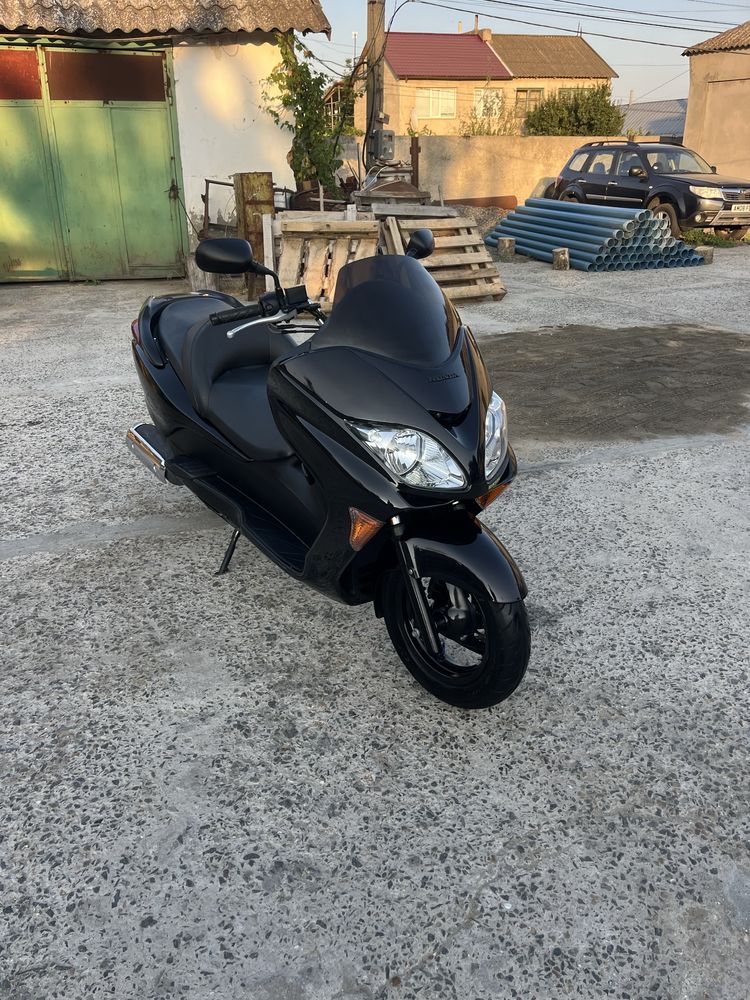 Honda forza 250 mf08