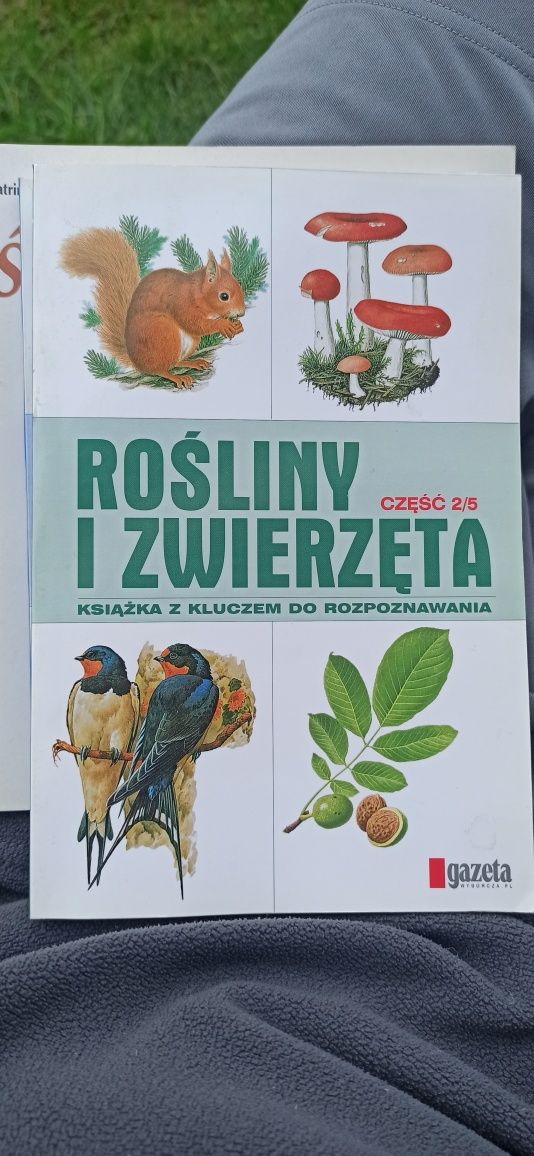 Książki "rośliny i zwierzęta" z kluczem