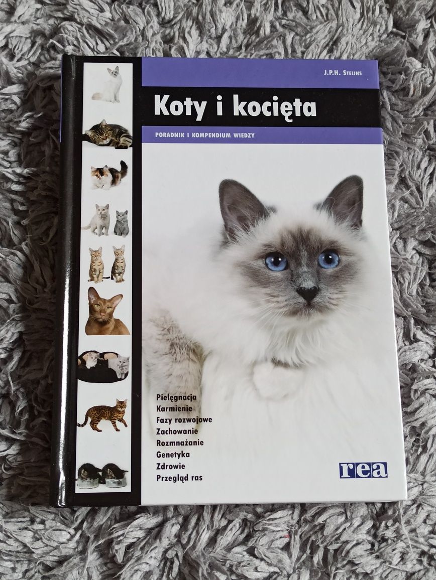 Książka Koty i kocięta