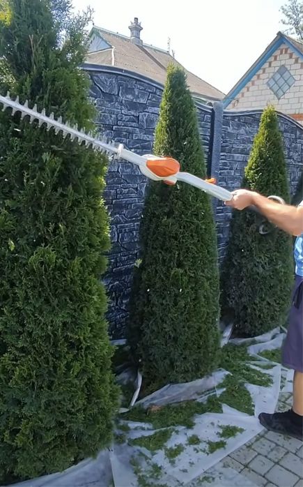 Топіарна стрижка рослин, догляд за вашою ділянкою, покіс газону