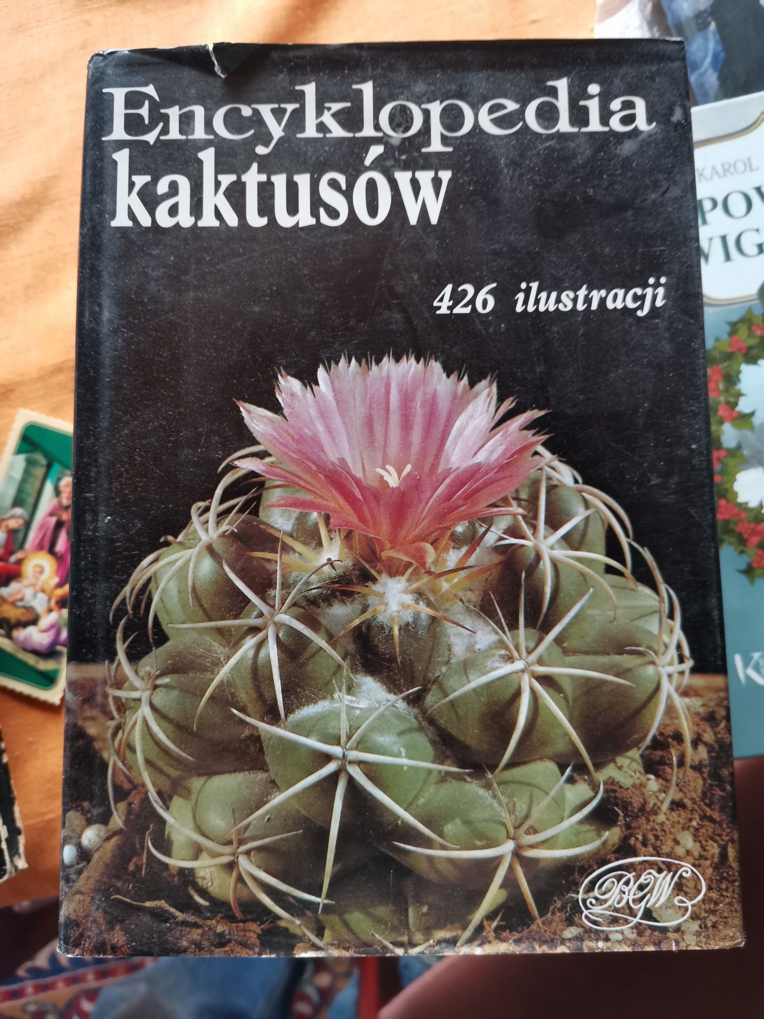 Encyklopedia kaktusów. Jan Riha i Rudolf Subik